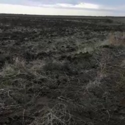 100 hektar torpaq satılır Ağsu rayonu, Qiyaslı kəndi Kənd