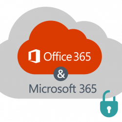 Düzgün Microsft 365 paketi Biznesin inkisafi ucun Microsoft