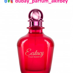 Britney Spears Fantasy Eau De Parfum for Women xanım