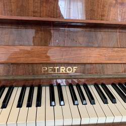 Petrof pianolarin wahi,yeni kimidir,professional ses ve