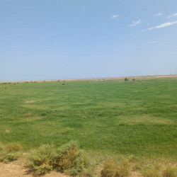 50 hektar yer satílír Xízída 160 min manat te'cili