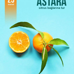 Astara Mandarin-Sitrus bağlarına ekskursiya! Ətirli