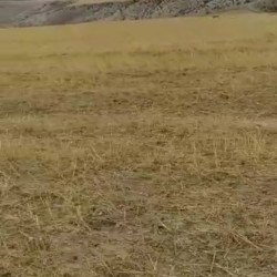200 hektar ərazi satílír Şabran rayonu ərazisi etrafinda