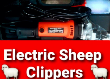 Qoyun qırxan Electric Sheep Clippers .Dəqiqədə 2600 dövr ,