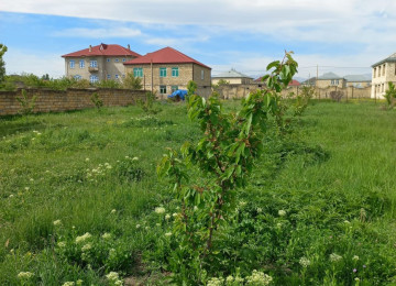 Quba rayonu Alekseyevka kəndində, Quba-Xaçmaz yolundan 300