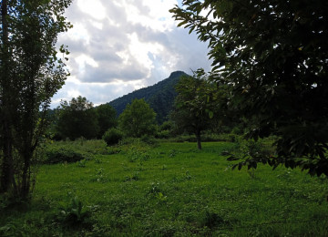 Oğuz rayon Xaçmaz kəndi ərazisində 86 sotda kupçalı bağ