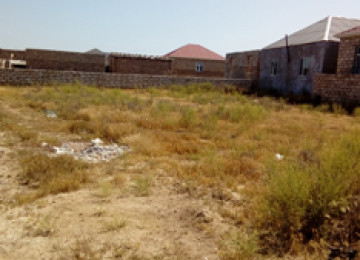 Sabunçu rayonu Ramanı- Şusa qəsəbəsində 6 sot torpaq