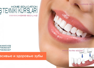 Diş texniki (protez) kursları Home Education Tədris mərkəzi