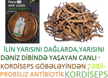 " Kordiseps "-Original və Tam Təbii,Yeganə Probsuz