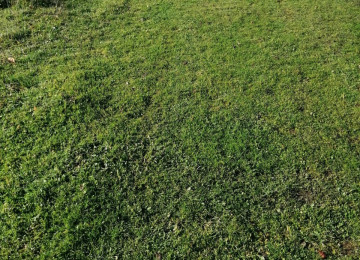 Quba rayon Bagbanli qesebesinde 6 sot ferdi yawayiw sahesi