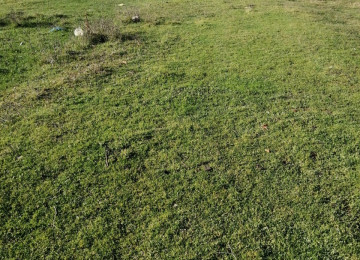 Quba rayon Bagbanli qesebesinde 6 sot ferdi yawayiw sahesi