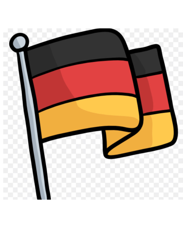 German Alman dilin son metodlarla Almaniyada magistra ve bakalavr