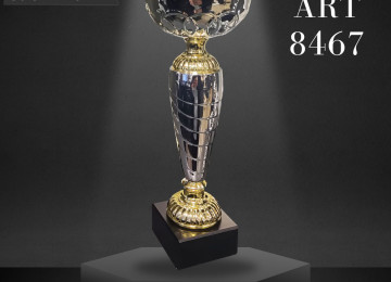 Bir çox fərqli, müxtəlif və keyfiyyətli kubok modelləri