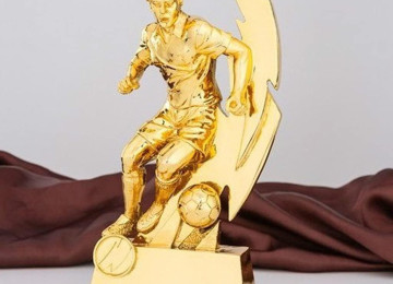 Bir çox fərqli, müxtəlif və keyfiyyətli kubok modelləri