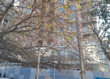 Şəhərin mərkəzində Azadlıq prosbekti 80 də 28 may