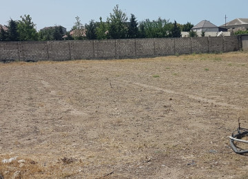 Nardaran bağlar massivində Səhv salmayın ləhiş dəniz kənarı