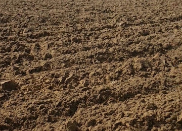 Nardaran bağlar massivində Səhv salmayın ləhiş dəniz kənarı