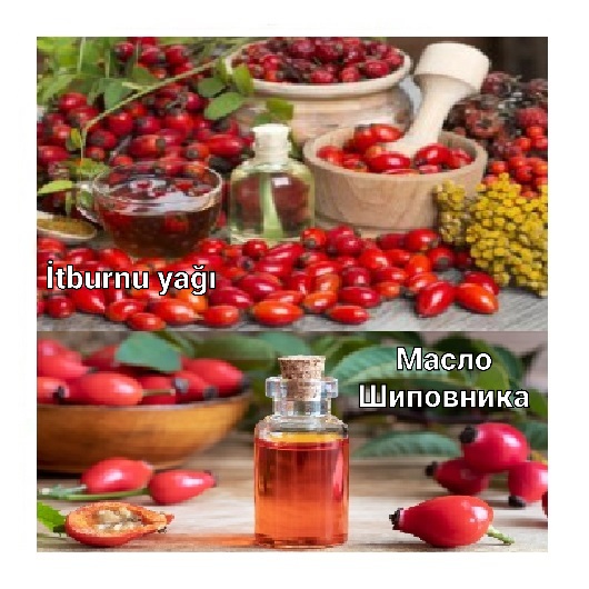 İtburnu yağı. 100 ml = 6 ₼. 250 ml = 15 ₼. 500 ml = 25 ₼. 1