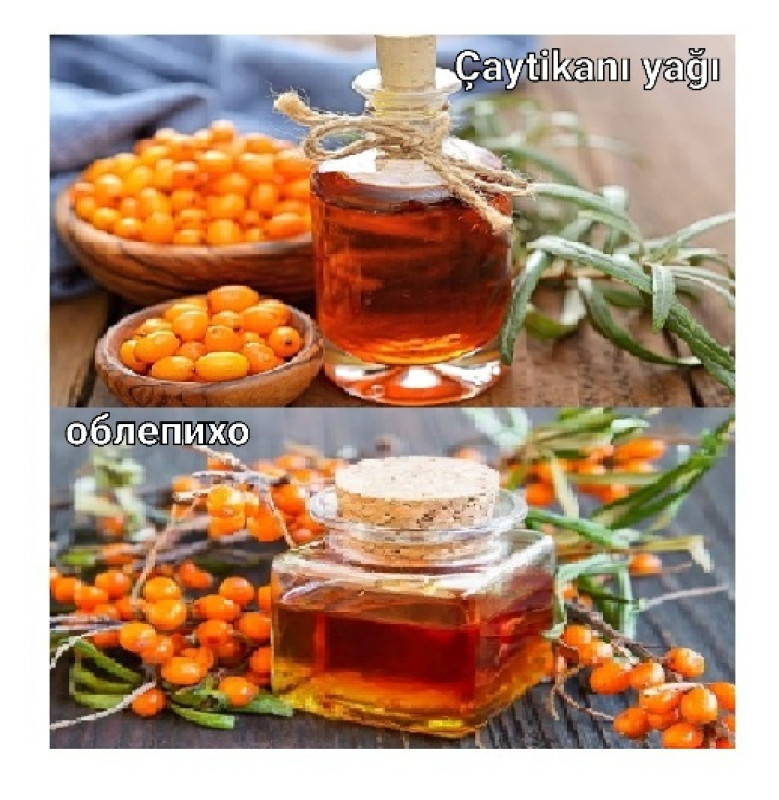 Çaytikanı yağı Çaytikanı yağı. 100 ml = 6 ₼. 250 ml = 15 ₼. 500 ml = 25 ₼.