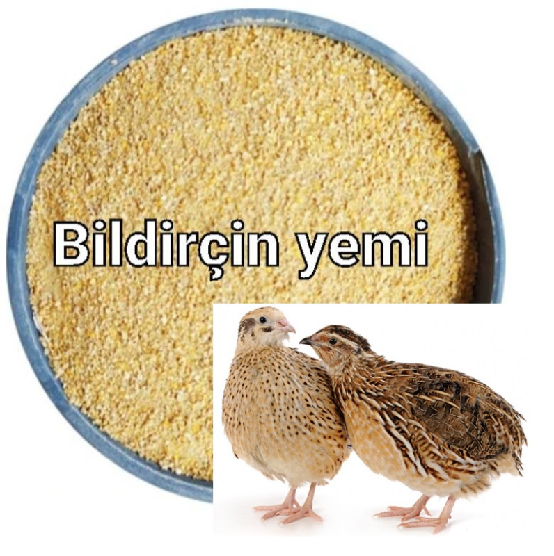 Bildirçin böyütmə yemi Bildirçin böyütmə yemi. Yüksək proteinli yem 11-55 verilir.