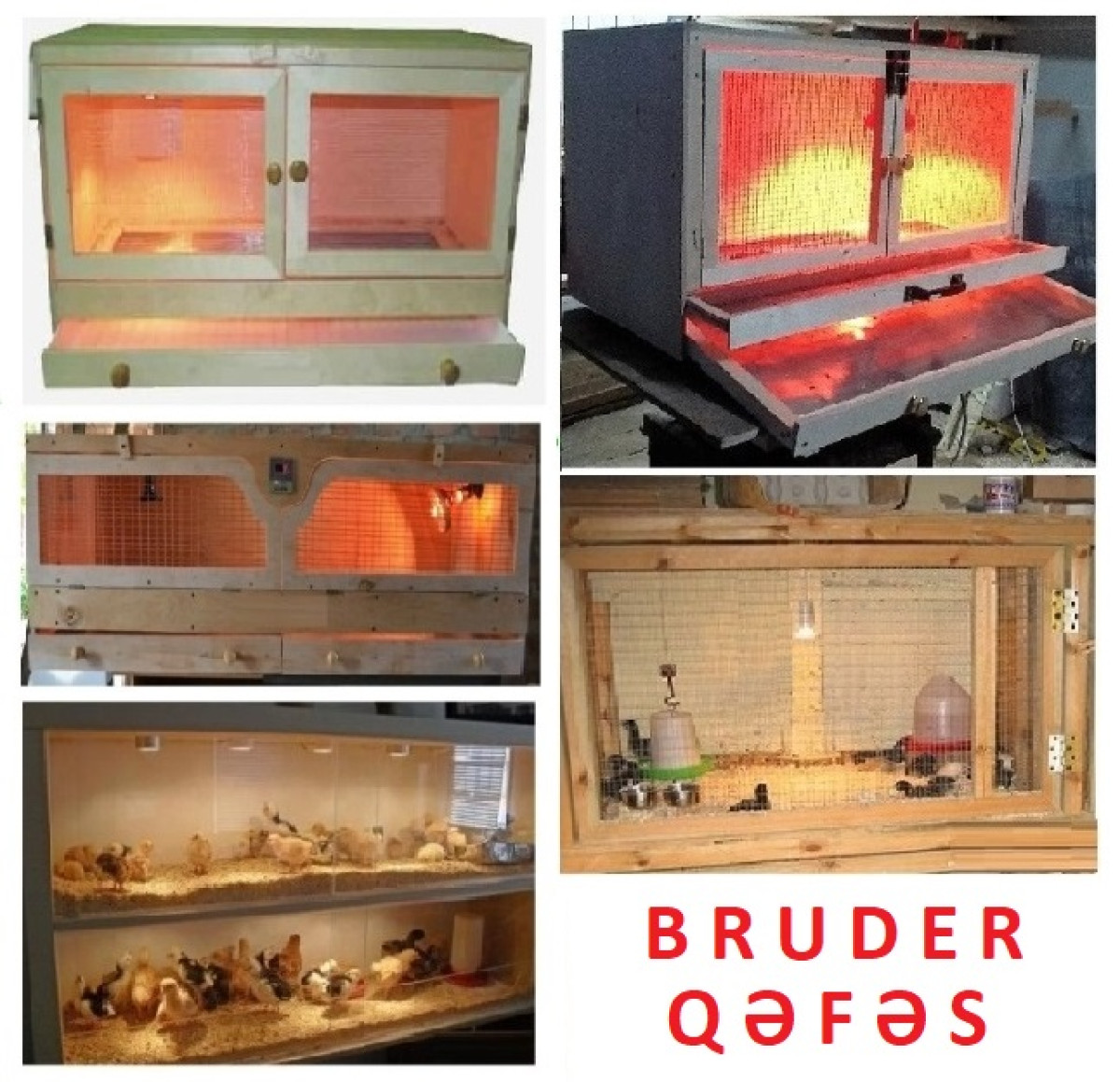 Cücə qəfəsi. Bruder Cücə üçün Bruder. Qəfəs. Sifarişlə istədiyiniz forma &