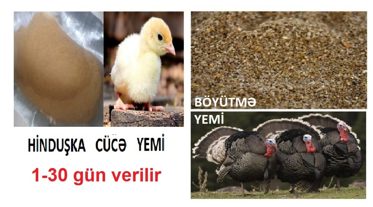 Hinduşka cücə yemi Hinduşka başlanğıc cücə yemi №1. 8-30 gün verilir. Protein