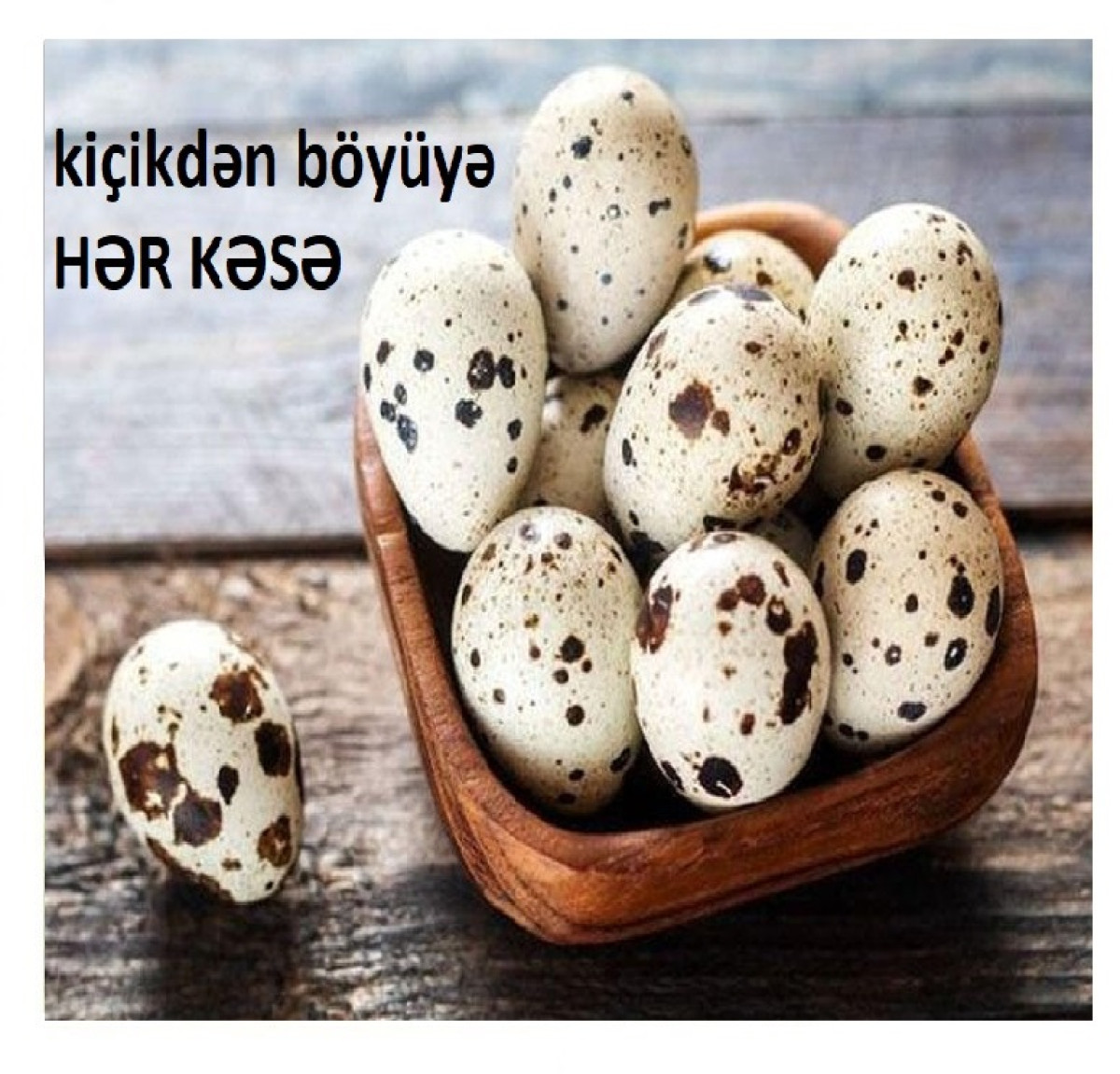 Bildirçin yumurtası Bildirçin yumurtası = 15 qəpik. Qablaşdırılmış 12 ədədli =