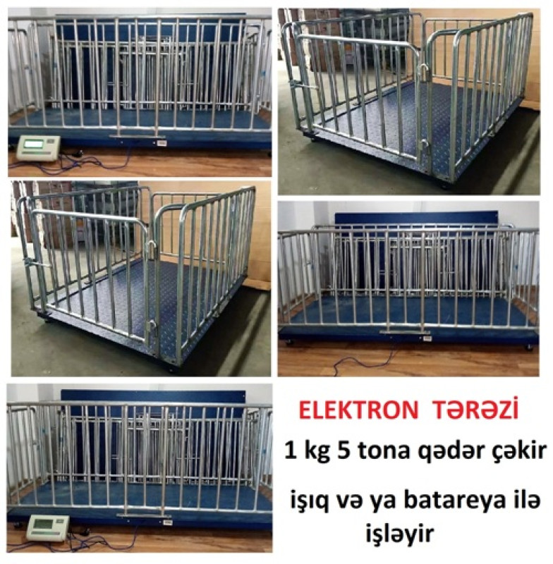 Eletron tərəzi. Qapan Elektron Tərəzi Qapan. Zavod istehsalı. Rəsmi nümayəndəlik.