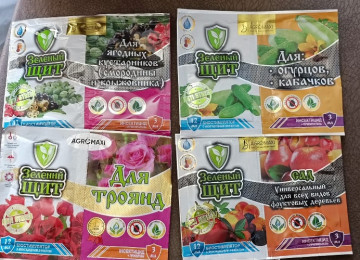 Dekorativ qızılgüllər. Həyət və Bağ üçün açıq havada təbii