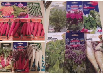 Dekorativ qızılgüllər. Həyət və Bağ üçün açıq havada təbii