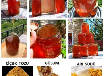 Dağ balı. Arı məhsulları. Qafqaz sıra dağlarının müxtəlif