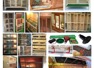 Cücə üçün Bruder. Qəfəs. Sifarişlə istədiyiniz forma &