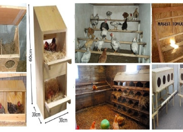 Cücə üçün Bruder. Qəfəs. Sifarişlə istədiyiniz forma &