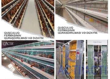 Qranulator. Pellet. Yemi patron şəkilində hazırlayan. 4 Kw.