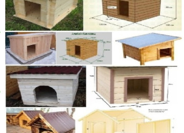 İt yuvası. Sifarişlə istədiyiniz forma & ölçüdə, gigiyenik