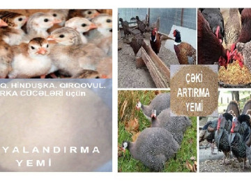 Mayalandırma yemi. Cücələrin mayalandırması üçün xüsusi