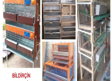 Bildirçin qəfəsi. Sifarişlə istədiyiniz forma & ölçüdə