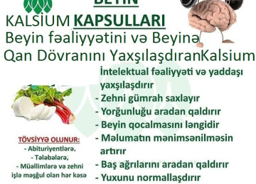 “ Beyin Fəaliyyətini və Baş-Beyinə Qan Dövranını