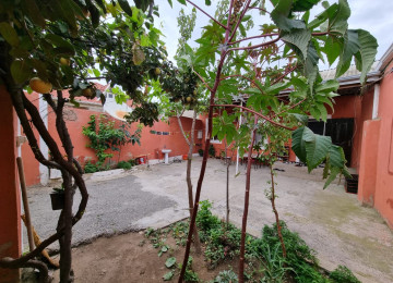 Zabrat 1 qes esas yola,marşuruta yaxin,307 saylı mektebe