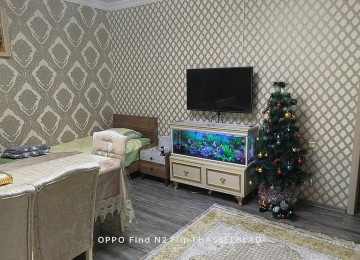 Zabrat 1 qəsəbəsində yola 81 və 92 sayli məktəbə, Araz