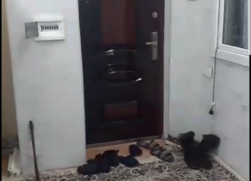 Bismillah! 9cu mikrorayon. Şərur-mtk. 18/19 1otaq 2yə