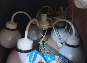 Sadə və VIP çadırların icarəsi. Çadırların quraşdırılması,