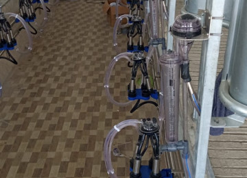 AQRO ASC Əmlak Kompleksi müəssisə satılır FERMA təsərrüfatı