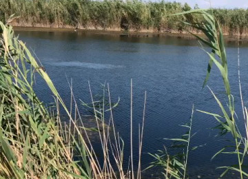 AQRO ASC Əmlak Kompleksi müəssisə satılır FERMA təsərrüfatı