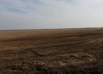 AQRO ASC Əmlak Kompleksi müəssisə satılır FERMA təsərrüfatı