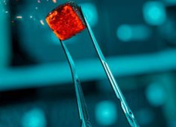 təbii kömür satışı Tüstüsuz qəlyan kömürü satışı Qatqısız