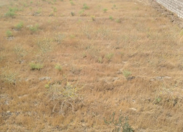 Buzovna - Buzovna marketin yaxınlığında 5 sot torpaq sahəsi