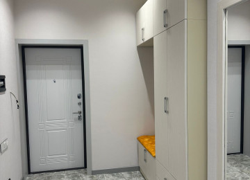 Teze temir. En axrinci dizayn gostericilerinden istifade