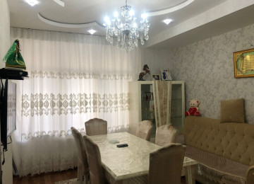 ALMAN LAYİHƏLİ !!! İDEAL İNFRASTRUKTUR YOLA DAYANACAĞA