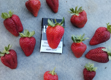 Salam artiq ciyelek ekmeyin tam vaxtidir hazirda xarici